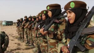 Somaliland, alliances, and geopolitical competition